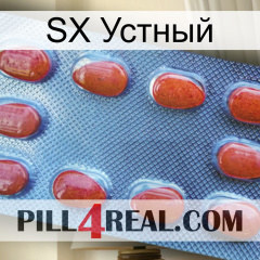 SX Устный 06